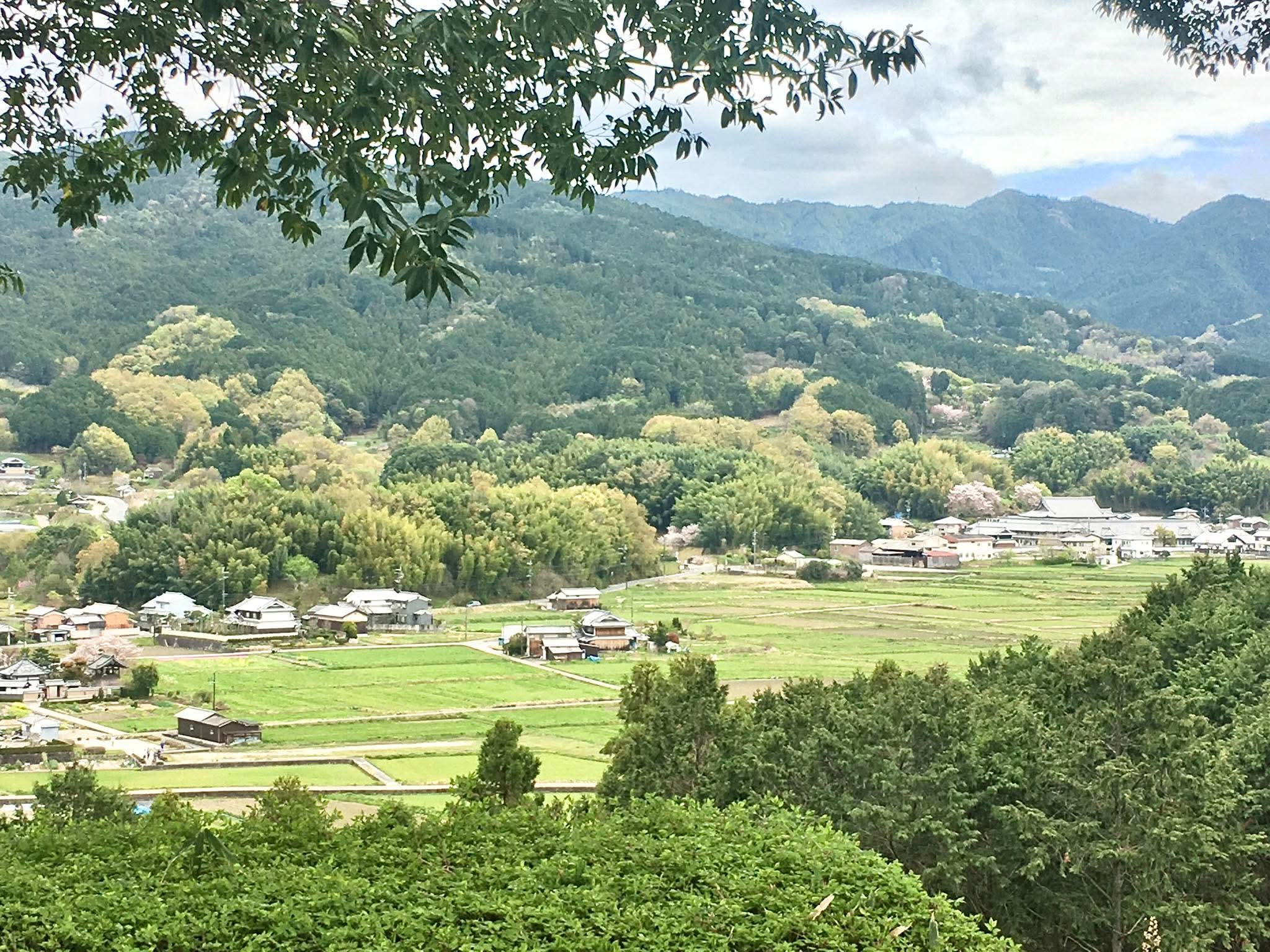 山々に囲まれた飛鳥の集落と田畑