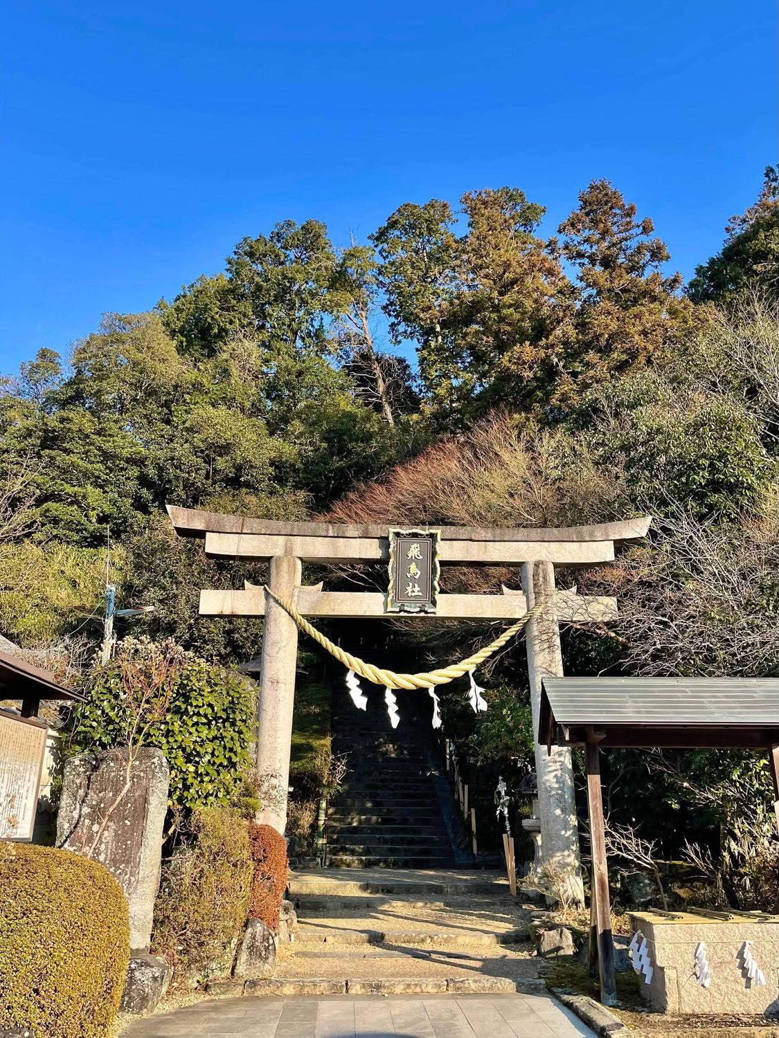 青空の下に立つ石の鳥居と社へ続く石段